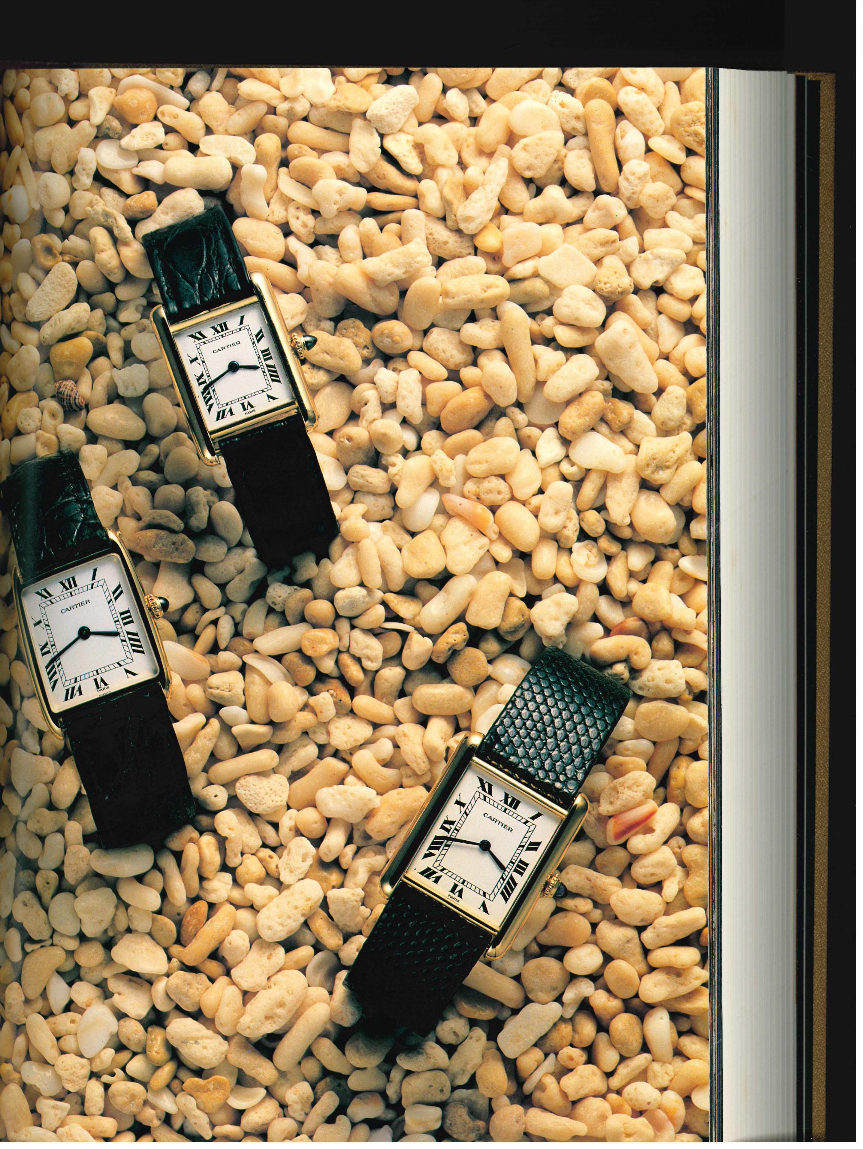 Cartier: A Century of Cartier Wristwatches (Book) 3