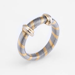 Cartier Aurore 18 Karat Yellow Gold Steel Ring