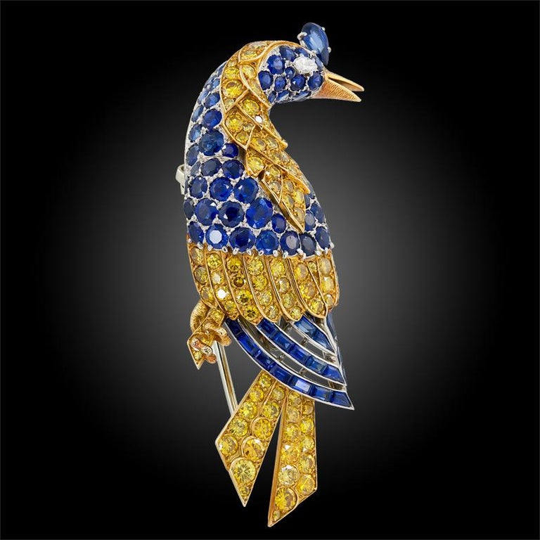 
Cartier Diamond Sapphire Bird Brooch in 18k Yellow Gold and Platinum.

A curious bird posing in “contrapposto” – perched on top of a, idyllic branch. Feathers are comprised of round Fancy Yellow diamonds, round blue sapphires as well as caret cuts.