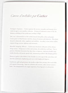 Folio di foto e disegni di gioielli floreali Cartier con 2 CD originali, 2005