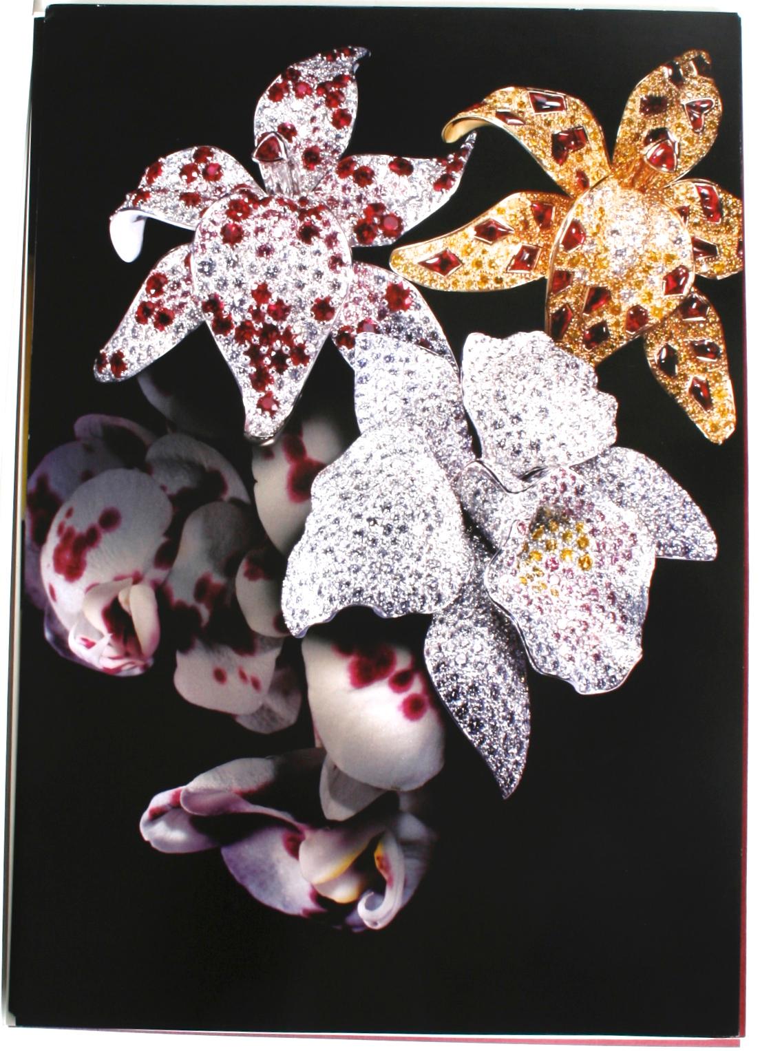 Cartier Folio of Photos and Floral Jewelry Designs with 2 Original CD's, 2005 For Sale 1