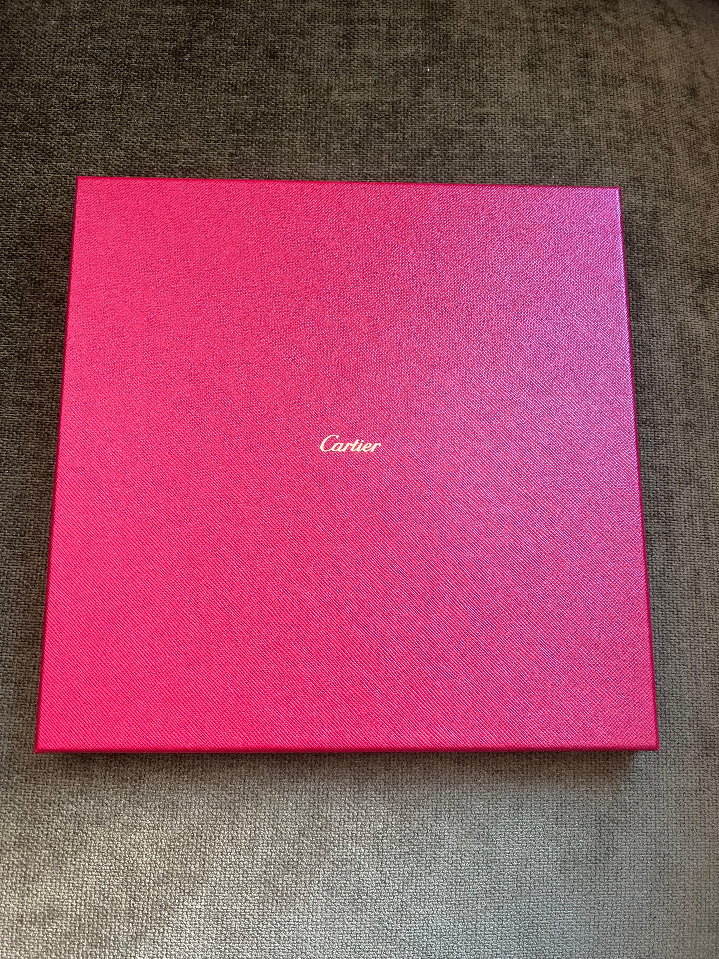 Cartier Gift Set, Palladium Lighter & Cartier Silk Scarf Original Cartier Case 4
