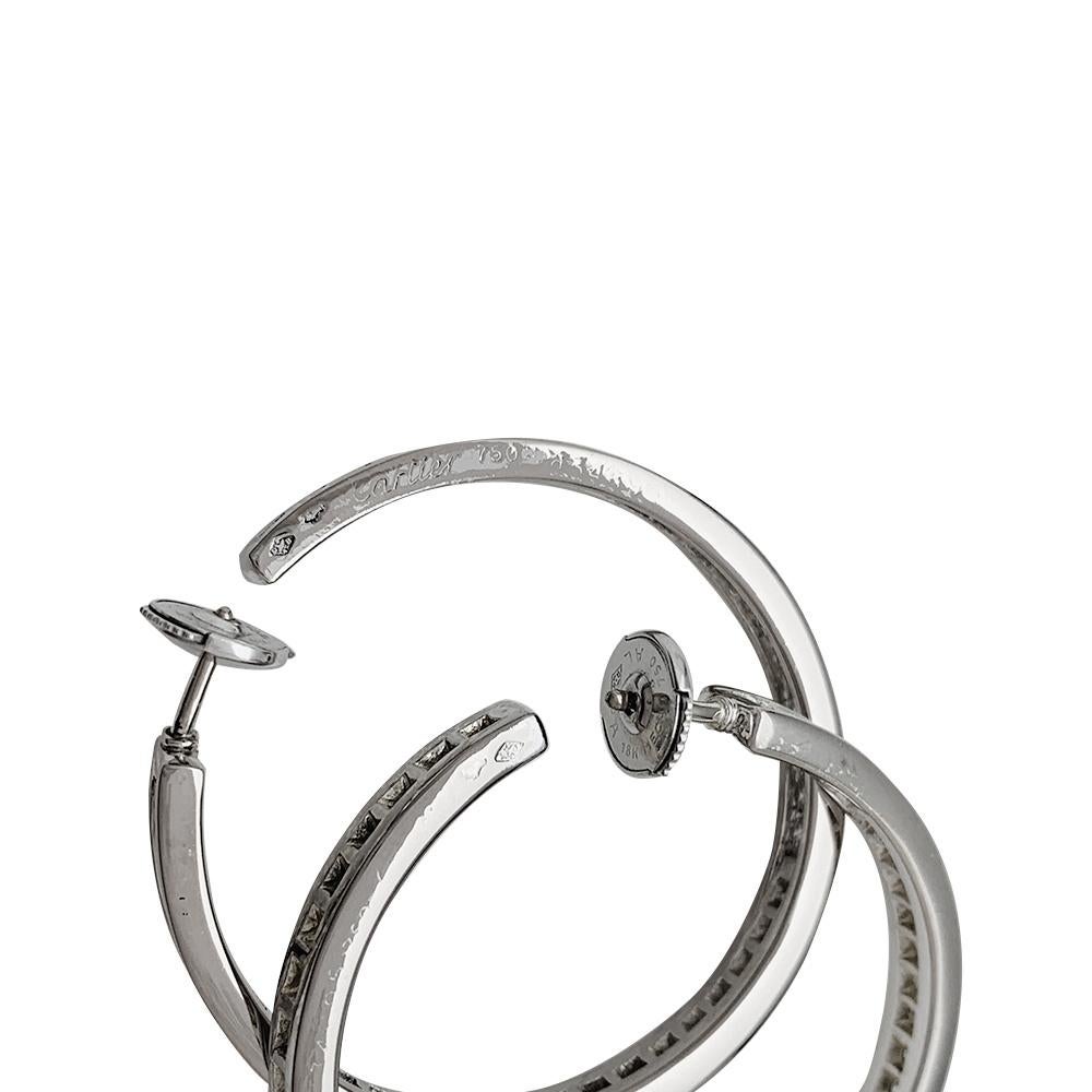 large white gold hoop earrings