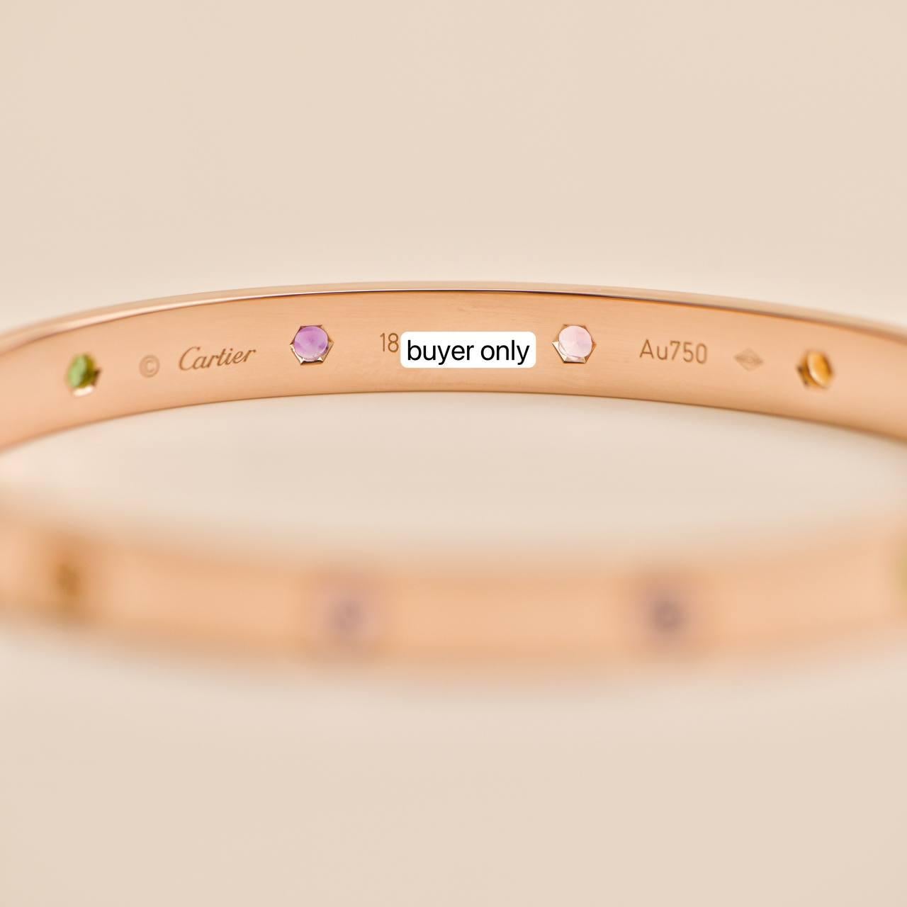 Cartier Bracelet Love Rainbow multi-gemmes en or rose 18 carats, taille 18 3