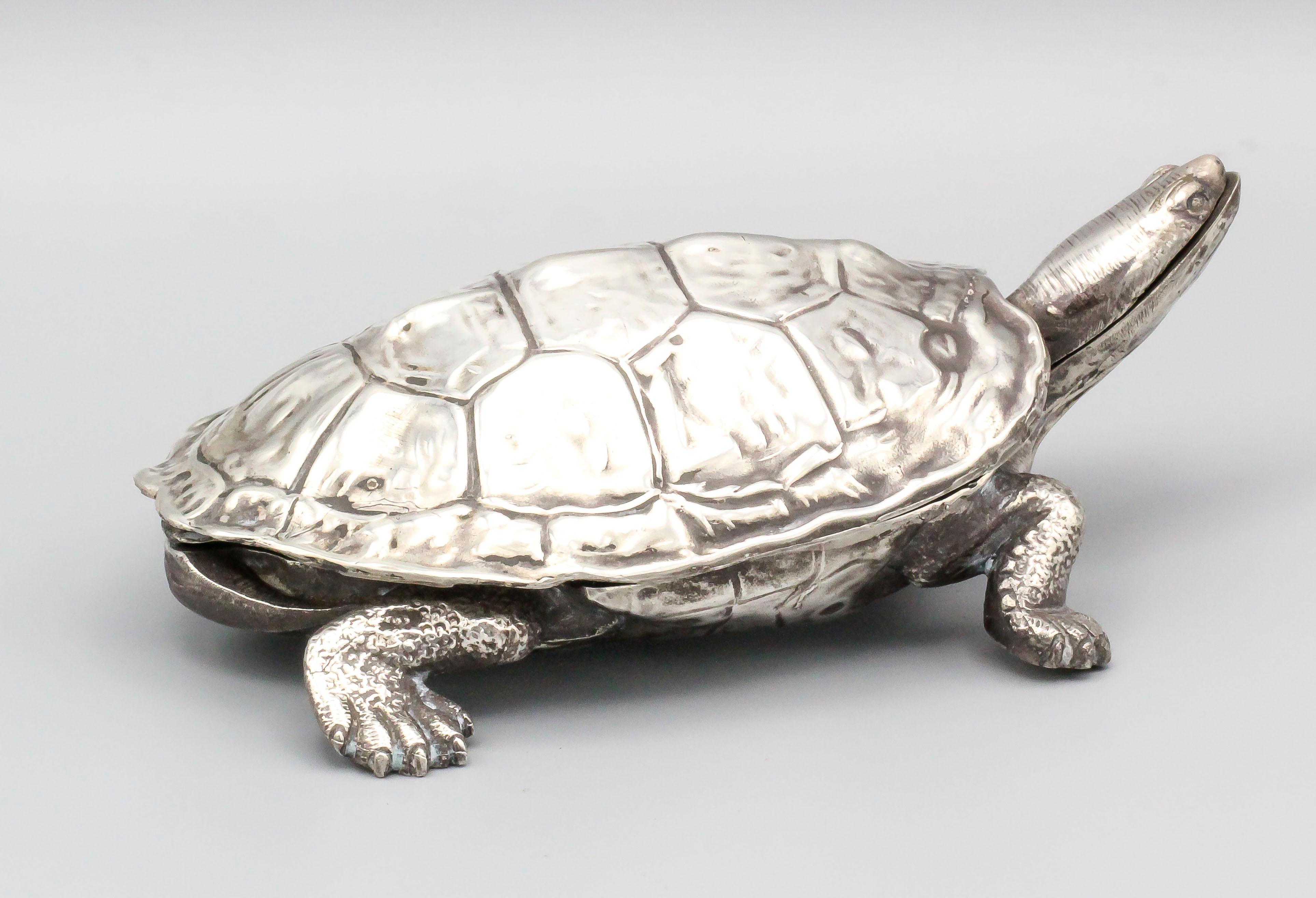 turtle silver