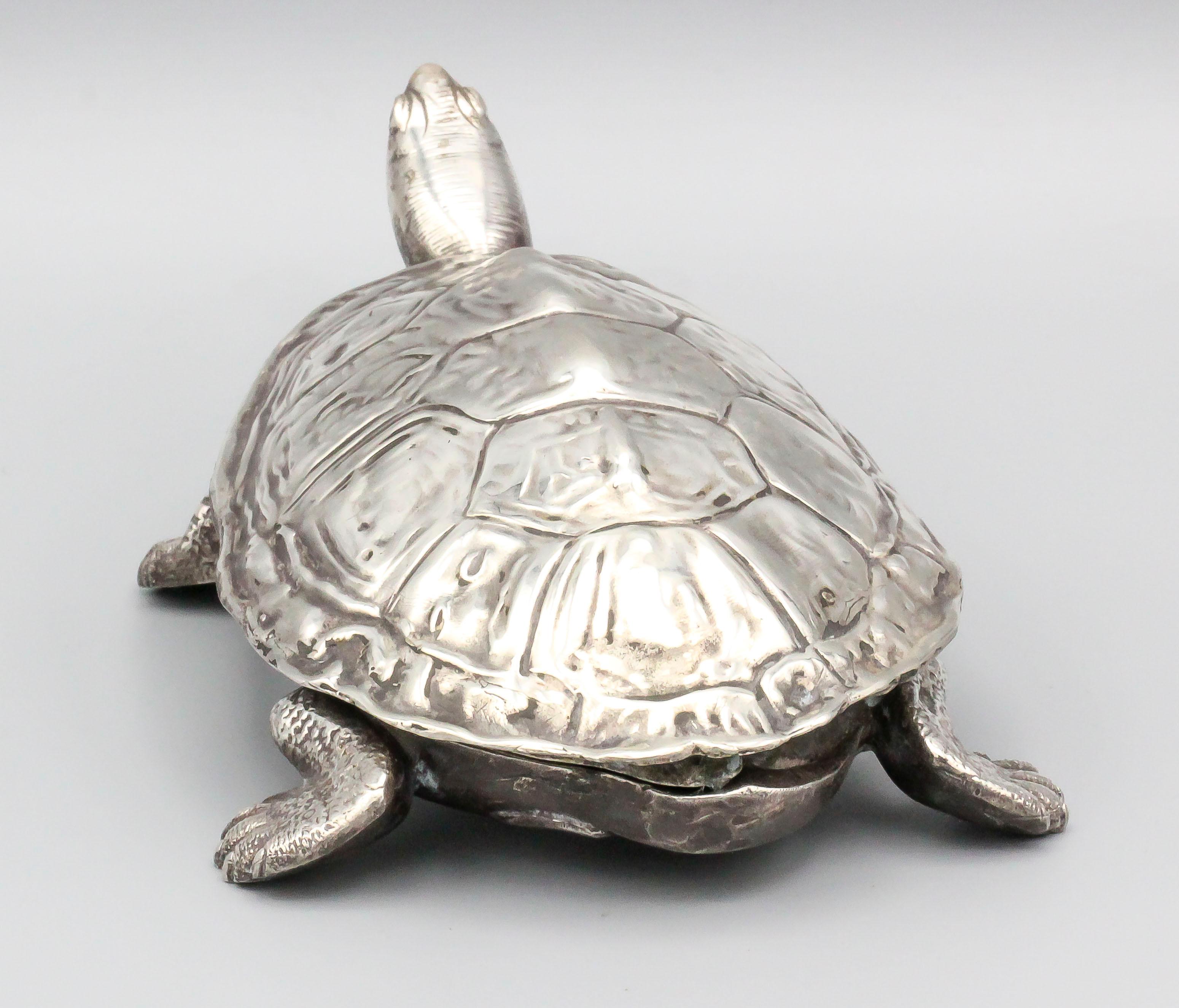 silver turtles