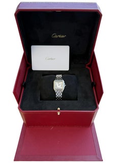 Cartier Mini Panthère De Cartier Watch Silver Dial Steel Ladies Watch WSPN0012