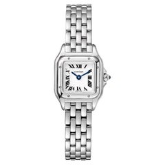 Cartier Mini Panthère De Cartier Watch Silver Dial Steel Ladies Watch WSPN0012