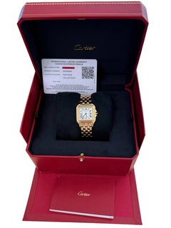 Cartier Panthère de Cartier 18K Yellow Gold Silvered Dial Watch WGPN0058