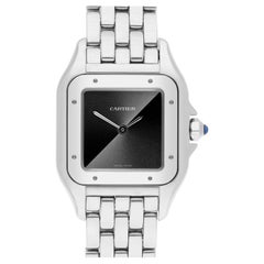 Used Cartier Panthère De Cartier Small Gray Dial Steel Watch WSPN0010 2022