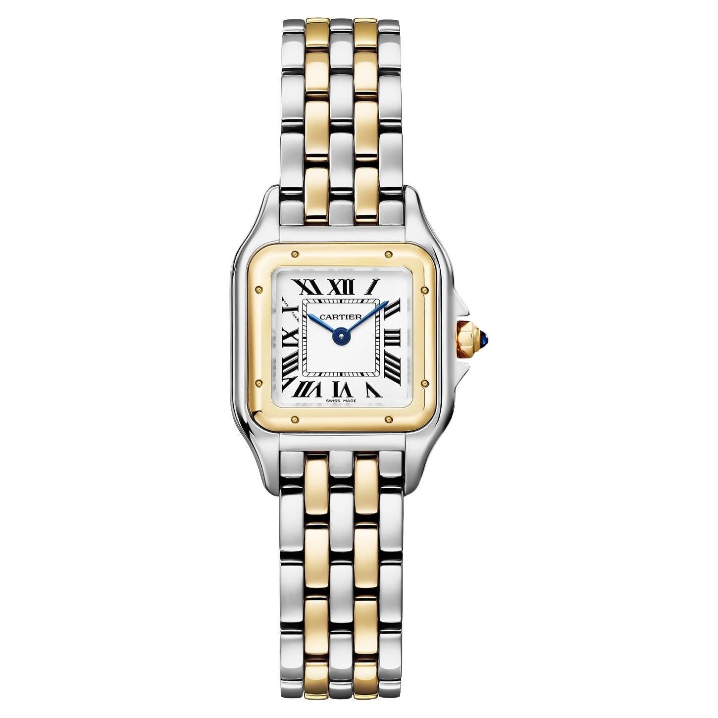 Cartier Panthère De Cartier Small Steel/Yellow Gold Silver Dial Watch W2PN0018 For Sale