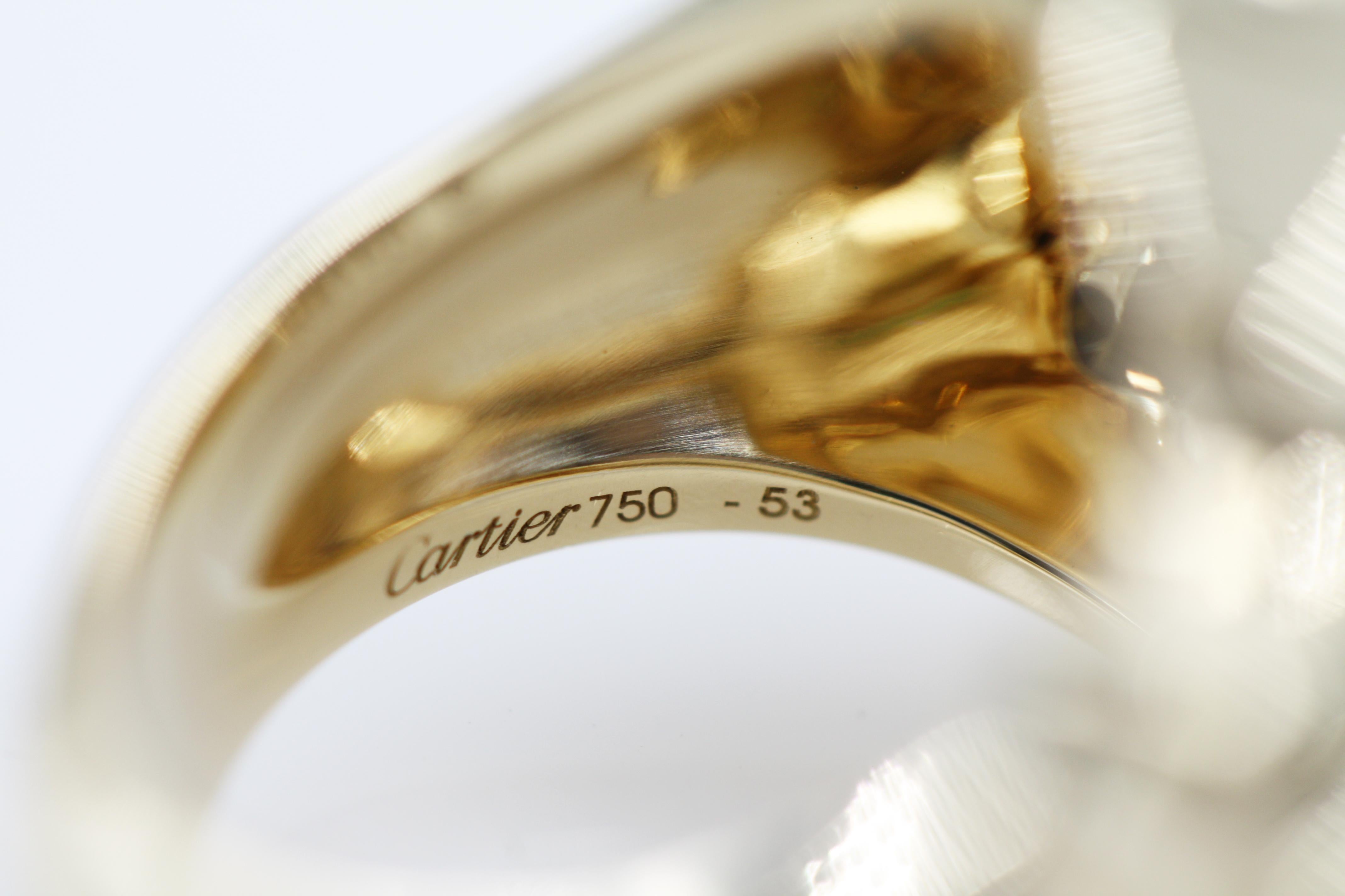 Cartier Panthère de Ring 18 Karat Yellow Gold, Lacquer, Tsavorite Garnet, Onyx For Sale 3