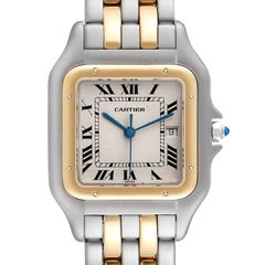 Cartier Panthere Jumbo Steel Yellow Gold Two Row Unisex Watch 187957