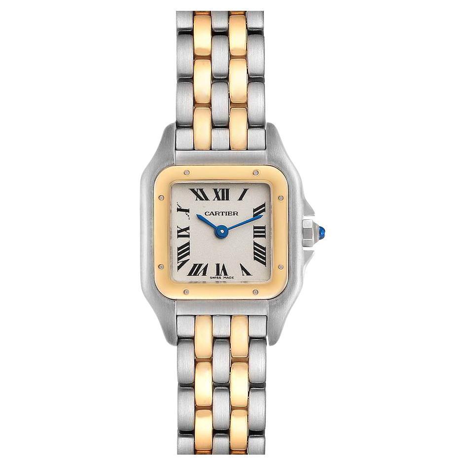 Cartier Panthere Ladies Steel Yellow Gold 2 Row Ladies Watch W25029B6