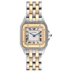 Cartier Panthere Ladies Steel Yellow Gold 2 Row Ladies Watch W25029B6