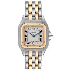 Cartier Panthere Ladies Steel Yellow Gold 2 Row Ladies Watch W25029B6