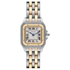 Cartier Panthere Ladies Steel Yellow Gold 2 Row Ladies Watch W25029B6