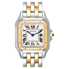 Cartier Panthere Ladies Steel Yellow Gold 2 Row Ladies Watch W2PN0007