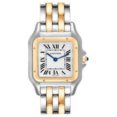 Cartier Panthere Ladies Steel Yellow Gold 2 Row Watch W2PN0007 Box Card
