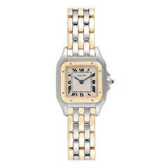 Cartier Panthere Ladies Steel Yellow Gold 3-Row Ladies Watch W25029B6