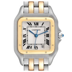 Cartier Panthere Large Steel Yellow Gold Two Row Ladies Watch W25028B6