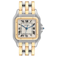 Cartier Panthere Midsize Steel Yellow Gold Three Row Ladies Watch W25028B8