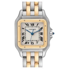Cartier Panthere Midsize Steel Yellow Gold Two Row Ladies Watch W25028B8