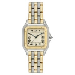 Cartier Panthere Stainless Steel & Yellow Gold