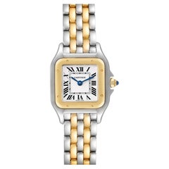 Cartier Panthere Steel Yellow Gold 2 Row Ladies Watch W2PN0006