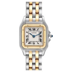 Cartier Panthere Steel Yellow Gold Two Row Ladies Watch W25029B6