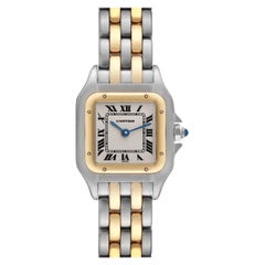 Cartier Panthere Steel Yellow Gold Two Row Ladies Watch W25029B6