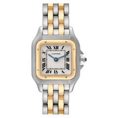 Cartier Panthere Steel Yellow Gold Two Row Ladies Watch W25029B6