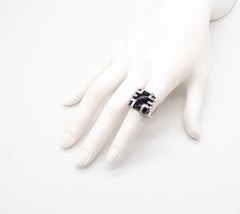 Cartier Paris Le Baiser Du Dragon Ring in 18kt White Gold with Haws Eye Gem