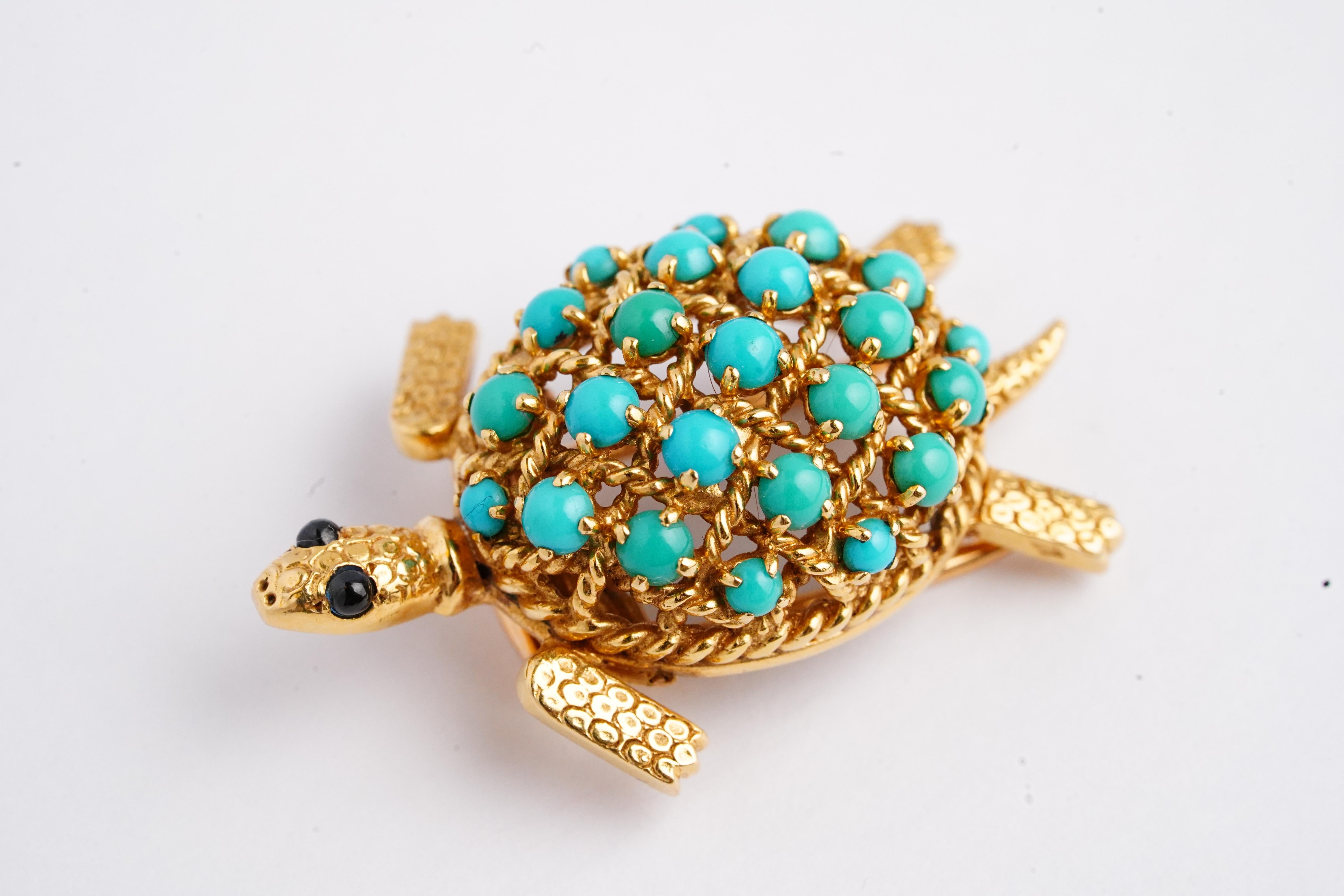 turquoise the turtle