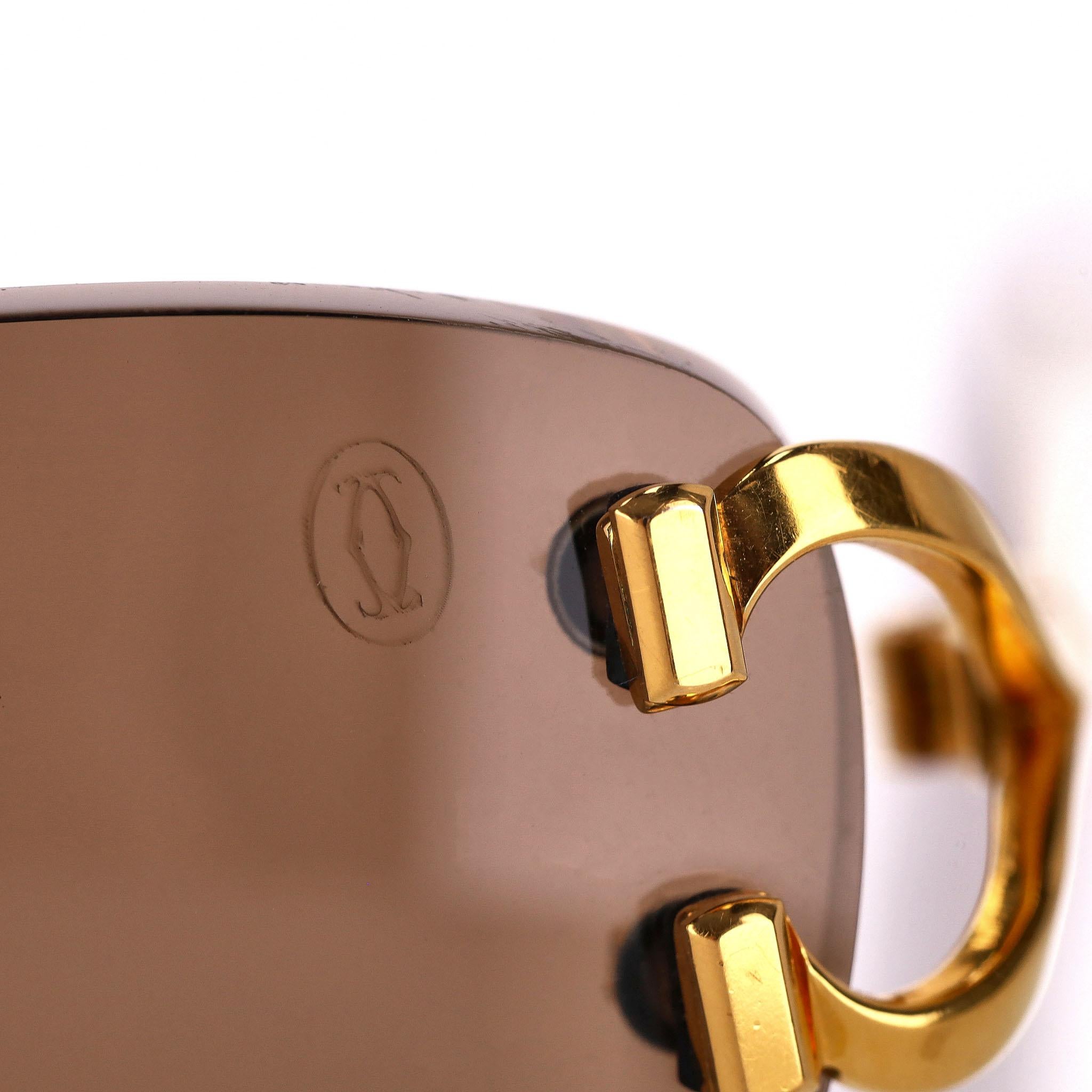 Cartier Rimless Oval Sunglasses 1