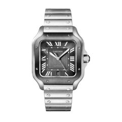 Cartier Santos Automatic Large Model Steel Watch WSSA0037