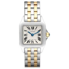 Cartier Santos Demoiselle Steel Yellow Gold Silver Dial Ladies Watch W25066z6