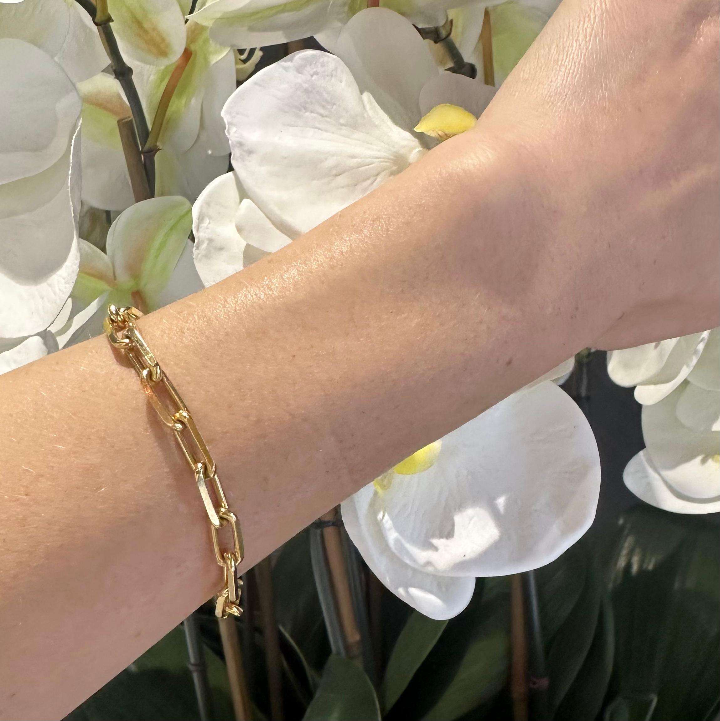 Cartier Santos-Dumont Kette Link 7,75in Armband in 18k Gelbgold 19,4g 1