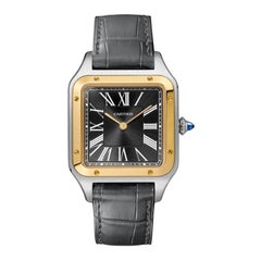 Cartier Santos-Dumont Montre en acier à mouvement mécanique à remontage manuel W2SA0015