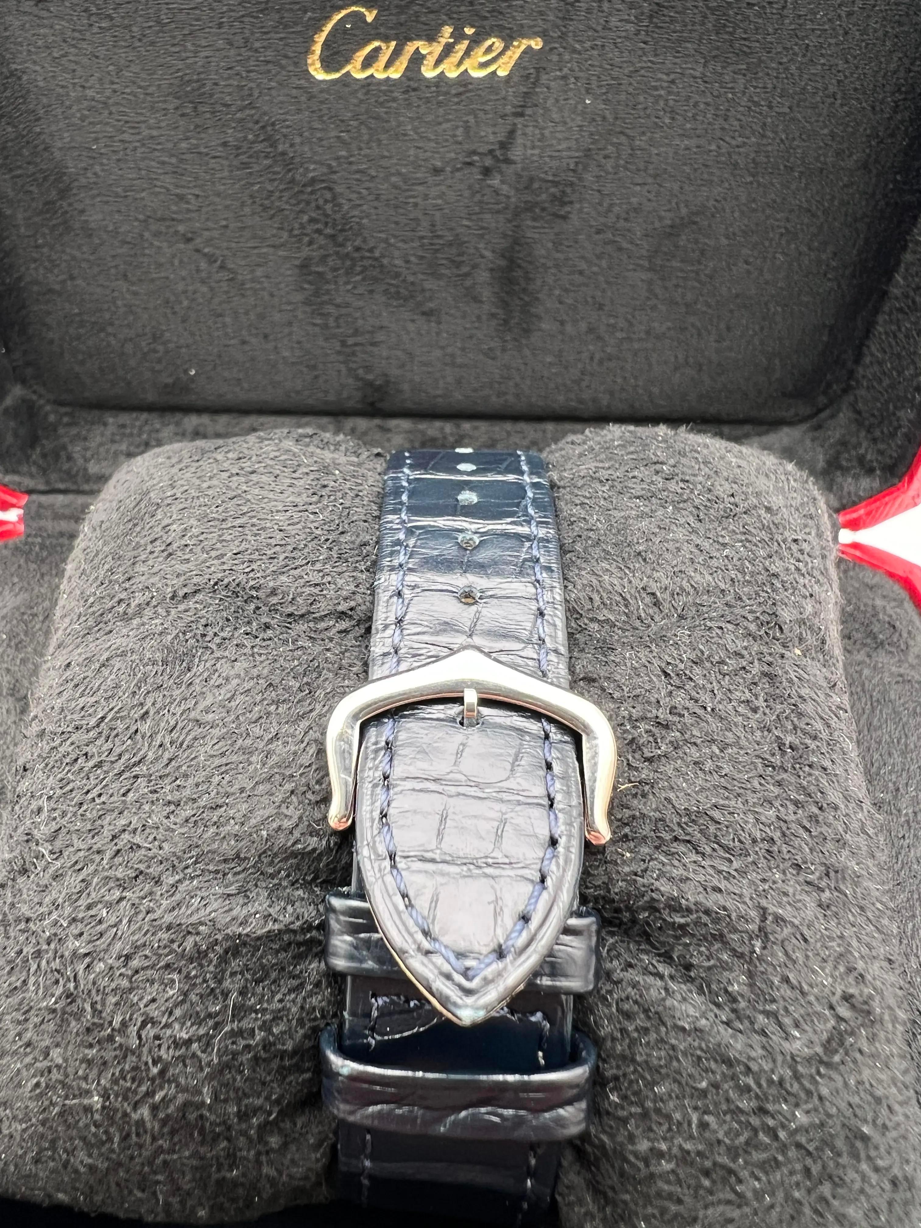 Cartier Santos Dumont Large 31.4mm x 43.5mm WSSA0022 Silver Dial Box Papers For Sale 9