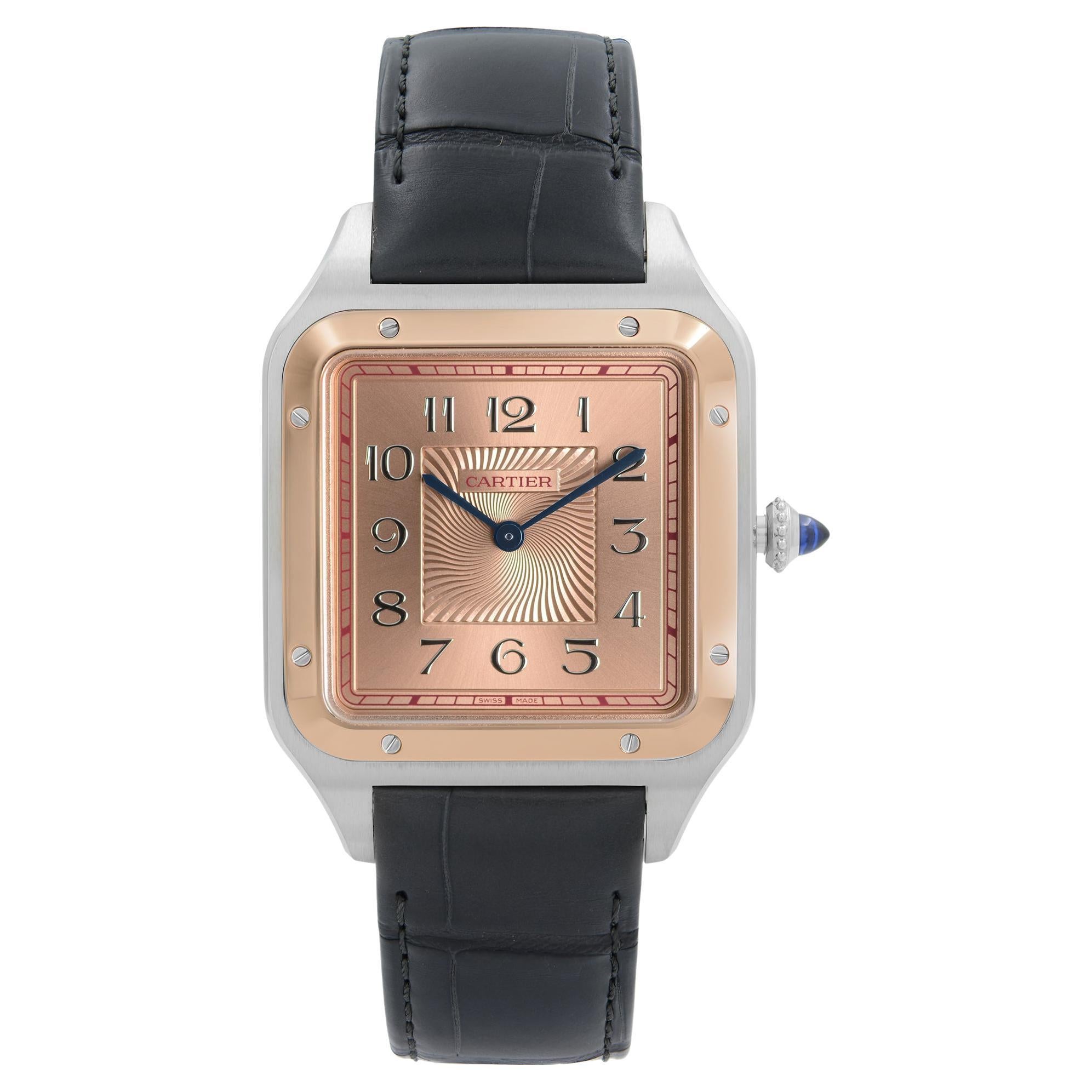 Cartier Santos Dumont LTD Edition Steel 
