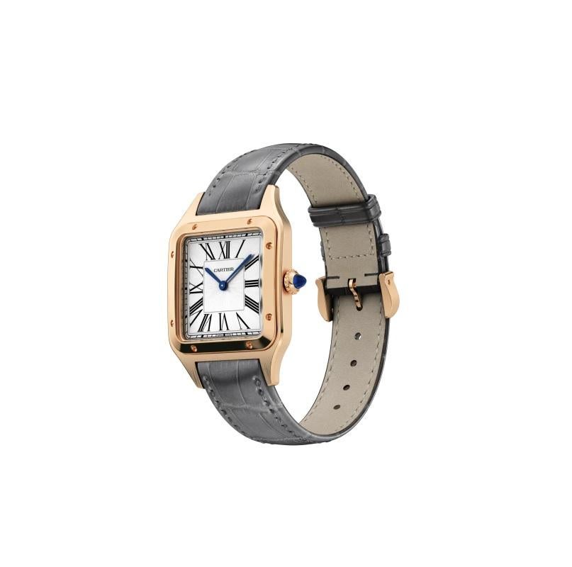 cartier santos dumont large on wrist