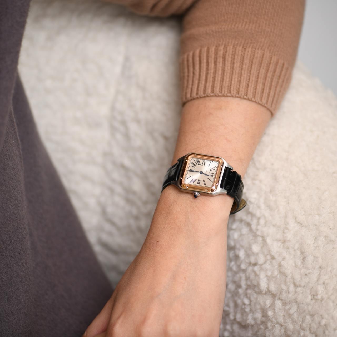 Cartier Santos-Dumont Watch Small Model W2SA0012 7