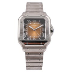 Cartier Santos WSSA0065
