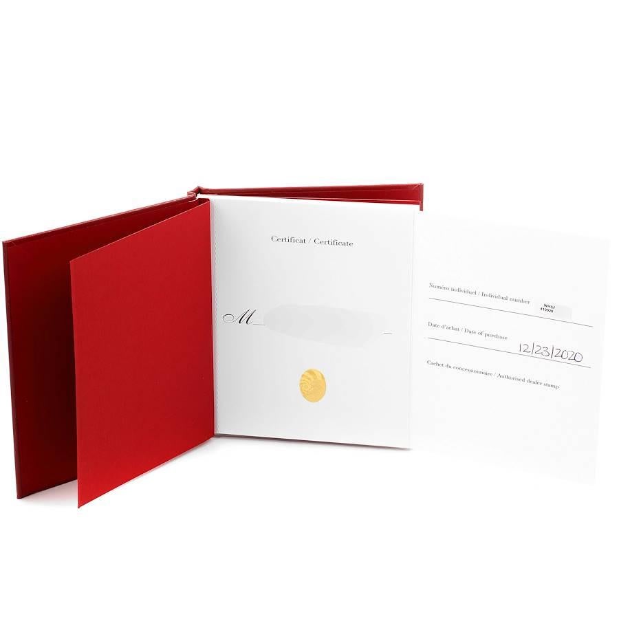 Montre Cartier Santos Skeleton Horloge en acier et or jaune avec boîte WHSA0019 et certificats d'authenticité 1