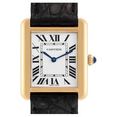 Cartier Tank Solo Small Yellow Gold Steel Silver Dial Ladies Watch W1018755