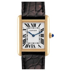 Cartier Tank Solo Yellow Gold Steel Silver Dial Ladies Watch W5200002 Box Papers