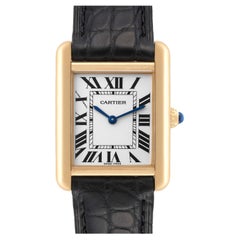 Cartier Tank Solo Yellow Gold Steel Silver Dial Ladies Watch W5200002 Card