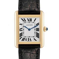 Cartier Tank Solo Yellow Gold Steel Silver Dial Ladies Watch W5200002