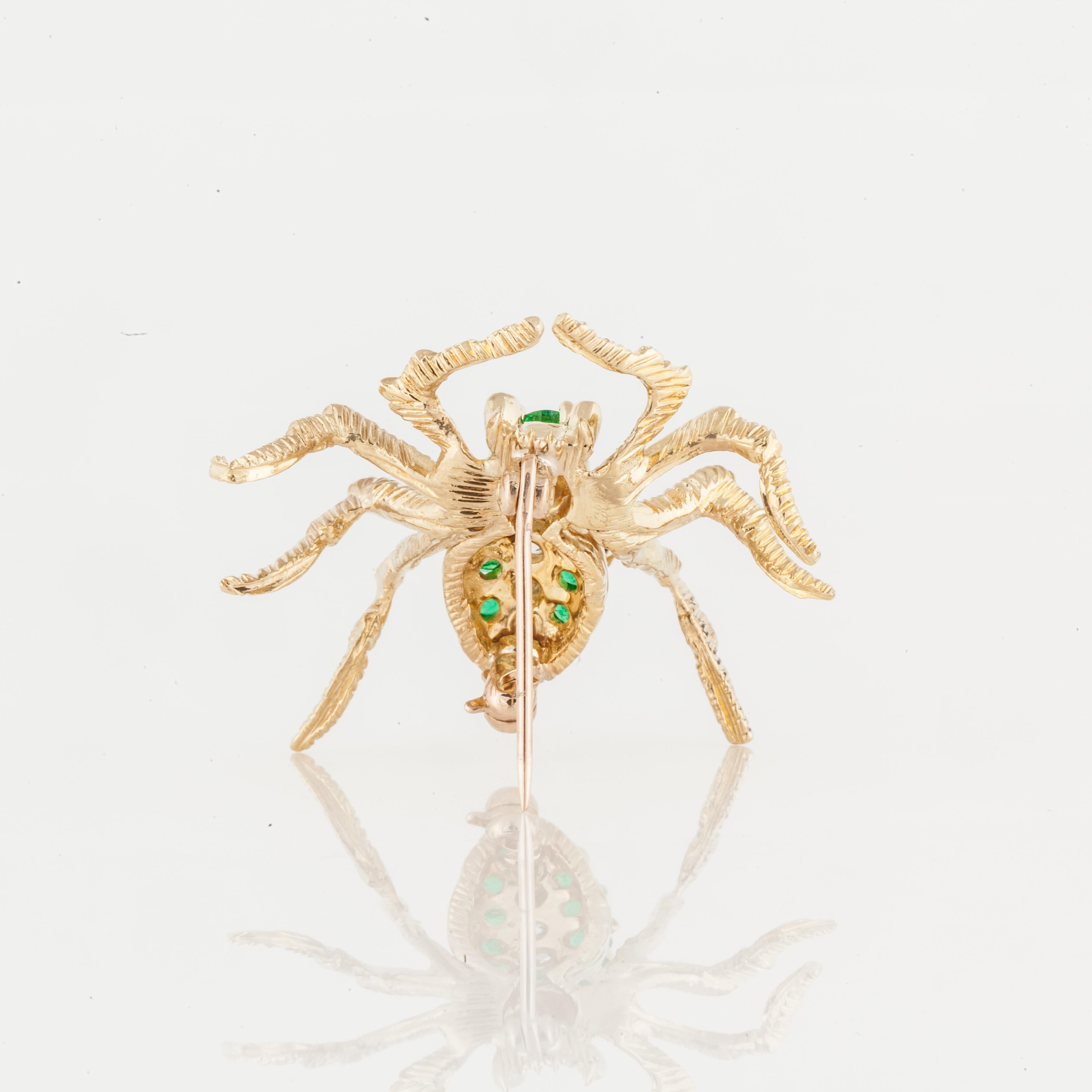 spider with yellow diamond on back
